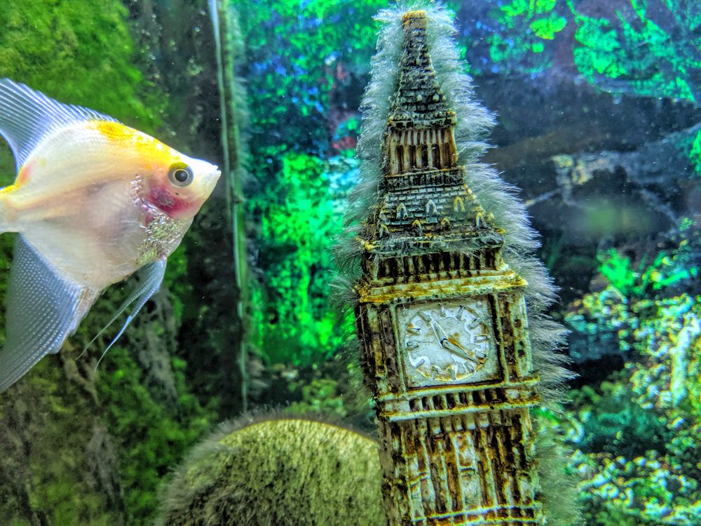 cover art for Welcome back to level 1 of learn English with Cullen lesson 46