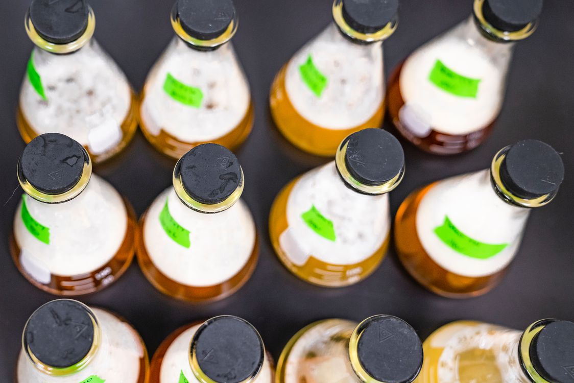 cover art for Saturdays test Your English lesson 40 on any new words