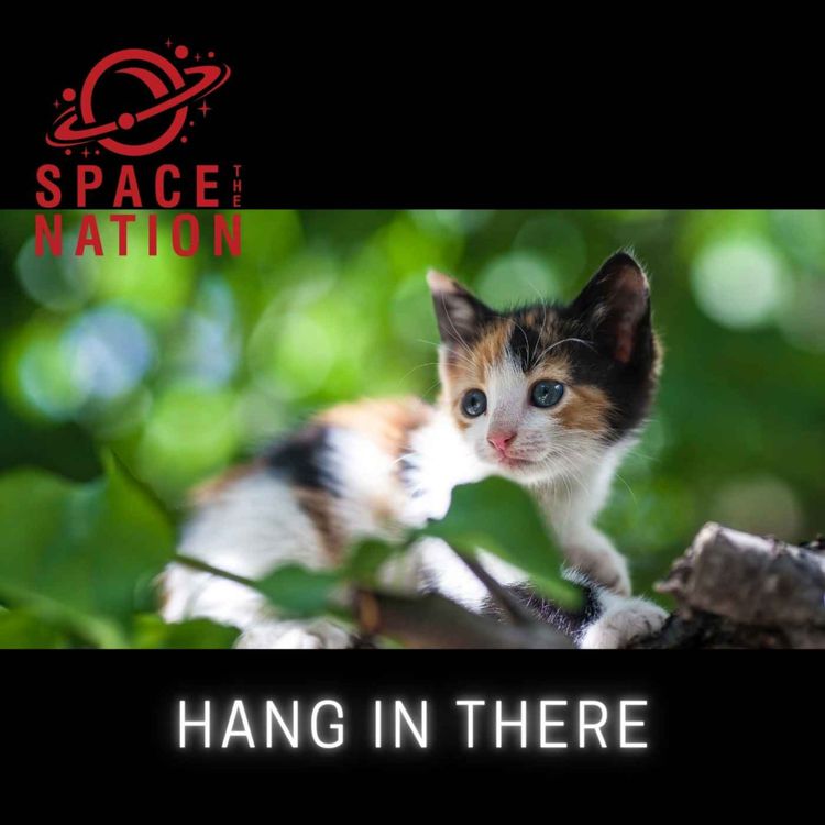 cover art for WE'RE FINE, HOW ARE YOU?