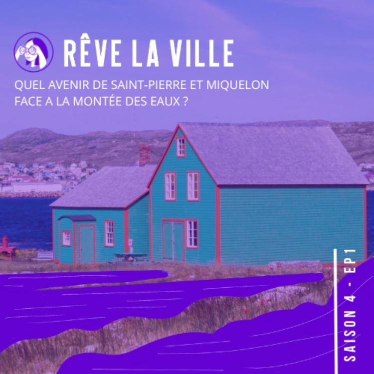 cover art for L'urbanisme face à la montée des eaux : le cas de Saint-Pierre et Miquelon