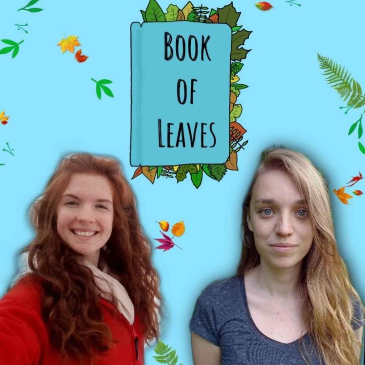 cover art for Finding Solace in Nature - Alex, Understory