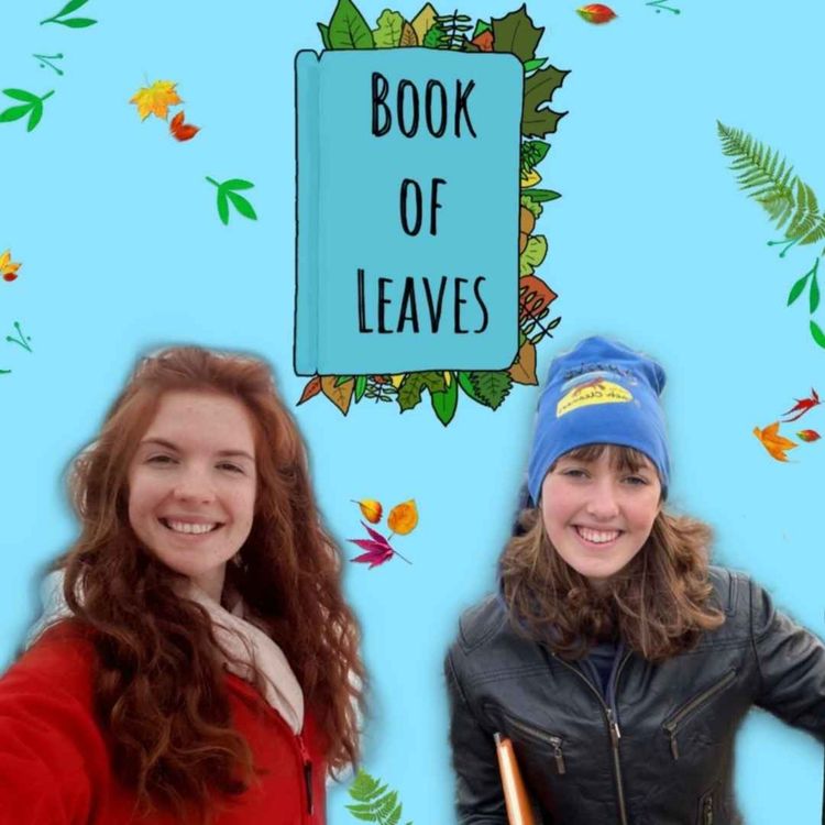 cover art for No One Is Too Small to Make a Difference - Flossie Donnelly