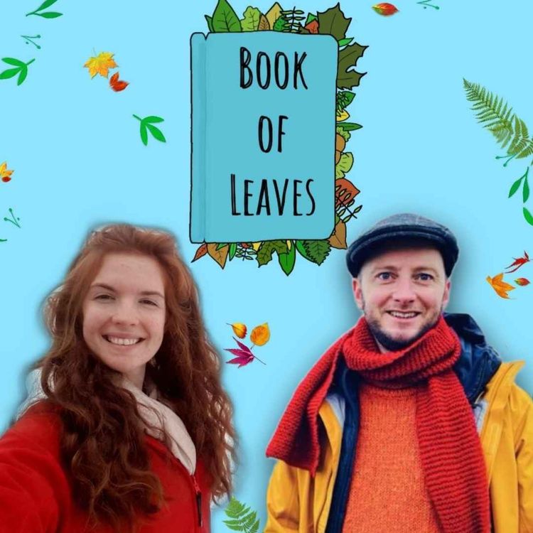 cover art for Bringing Nature into Schools - Patrick Kirwan