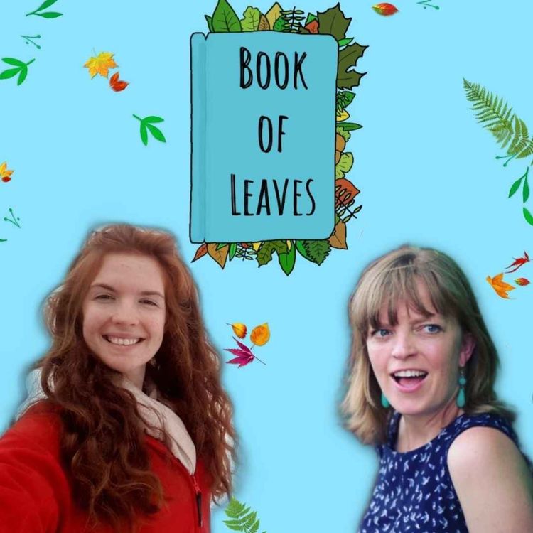 cover art for Bringing Comedy to the Movement -Diane O'Connor