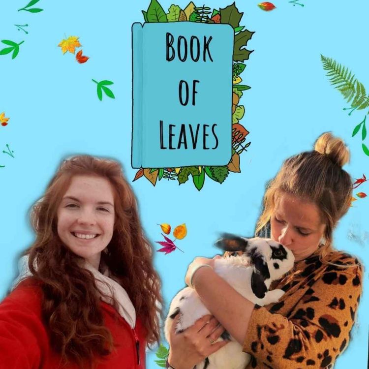 cover art for Changing Food Systems as an Everyday Activist - Evelyn Suttle