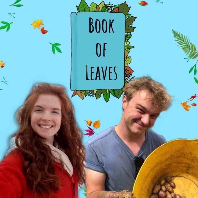 cover art for Urban Gardening, Foraging & Distilling - Connor Howlett