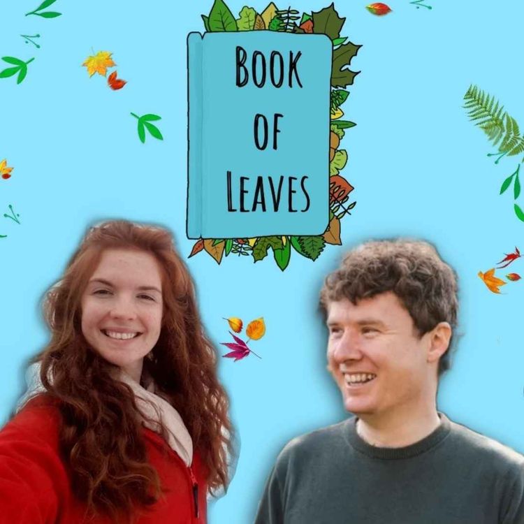 cover art for Mindfully Communicating Climate News - Darragh Wynne