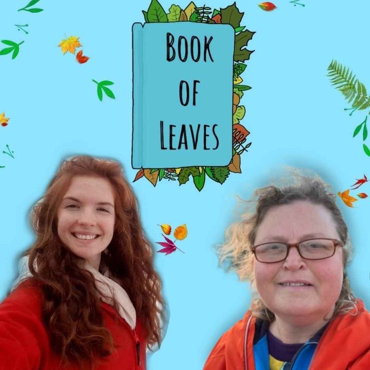 cover art for An Intro to Doughnut Economics - Roisin Markham