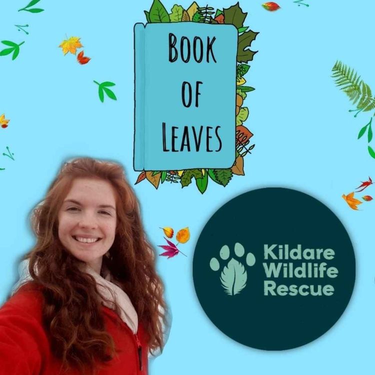 cover art for Helping Injured Wildlife - Jana, Kildare Wildlife Rescue