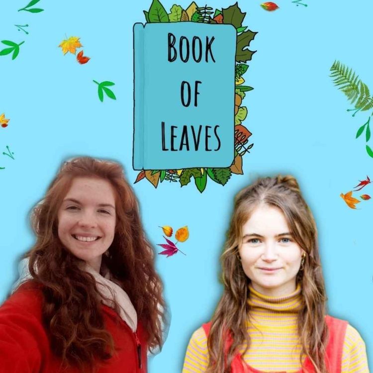 cover art for Building Practices That Heal - Rachel Loughrey