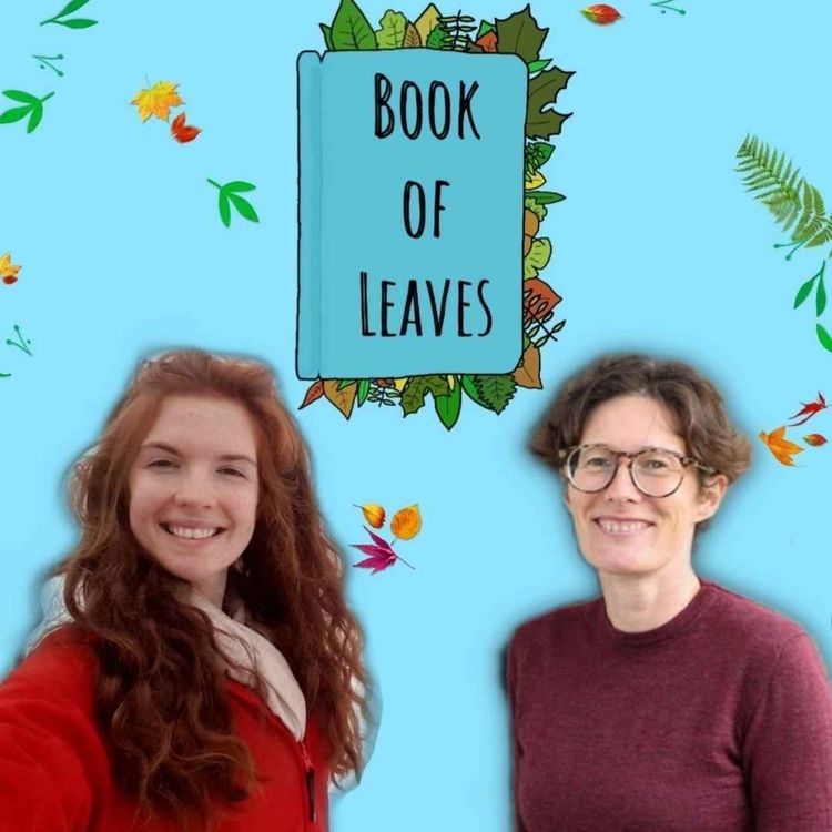 cover art for Eco-Periods: Less Shame, Waste, & Chemicals - Abi O'Callaghan Platt