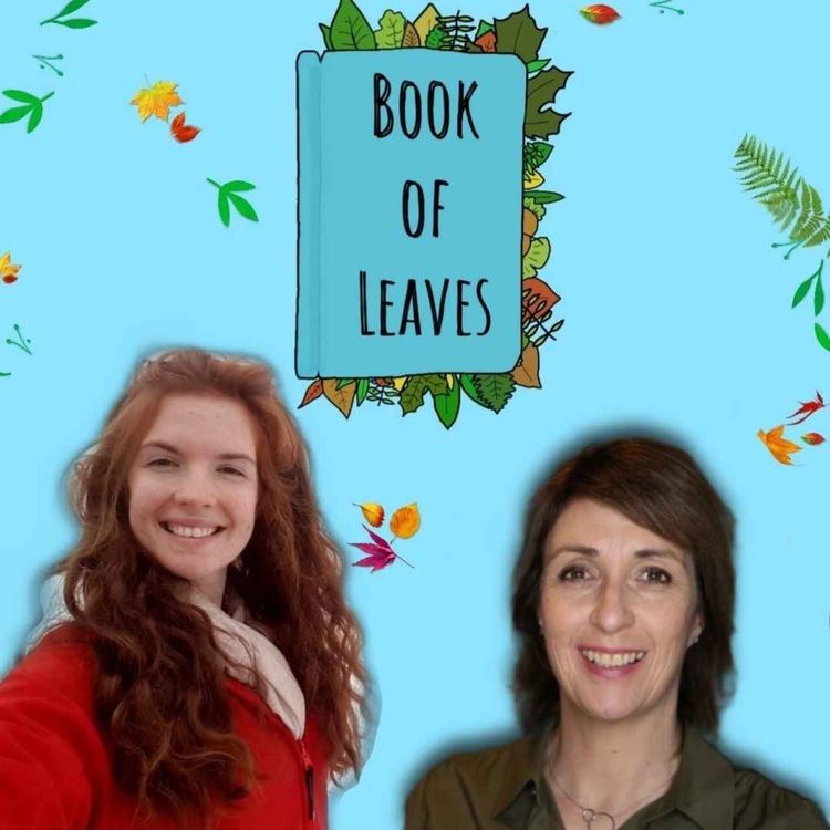 cover art for Compassionately Clearing Out Homes - Anne, Kindred Sorting