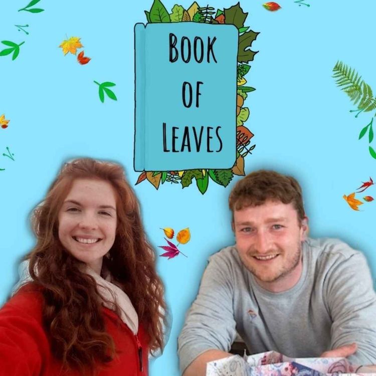 cover art for Making A Small Notebook Business Sustainable - Seán Ó'Sullivan