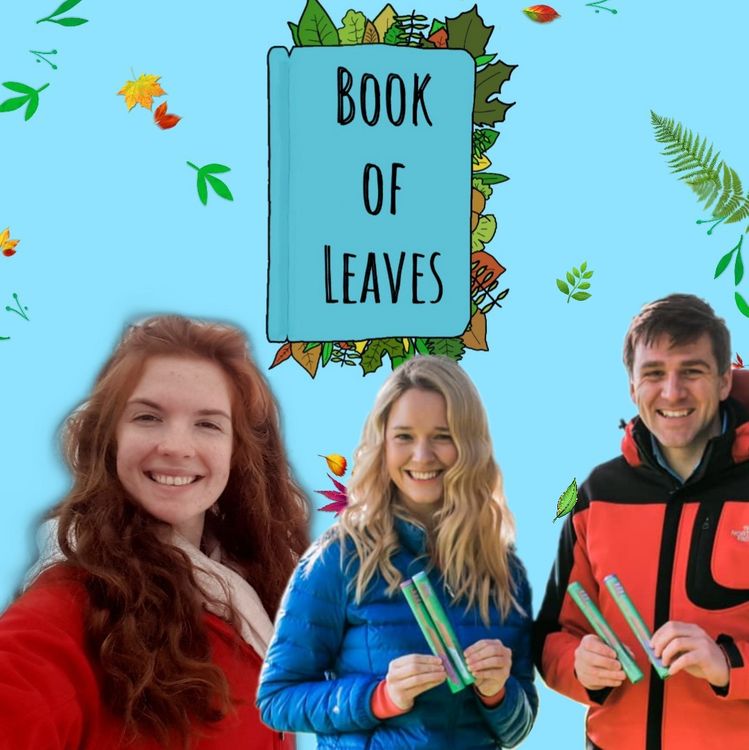 cover art for The Impact of a Toothbrush - Joe & Niamh, Bambooth