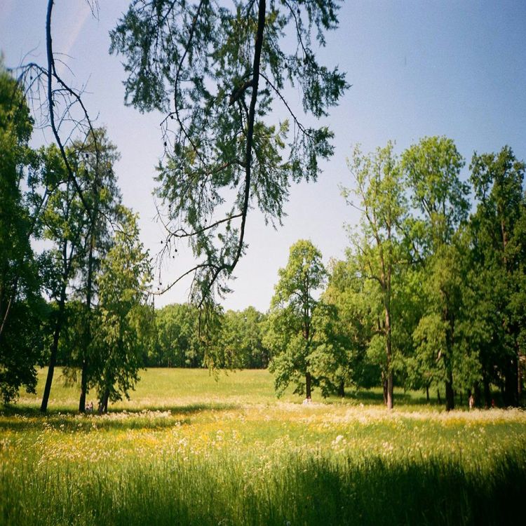 cover art for Oblomov
