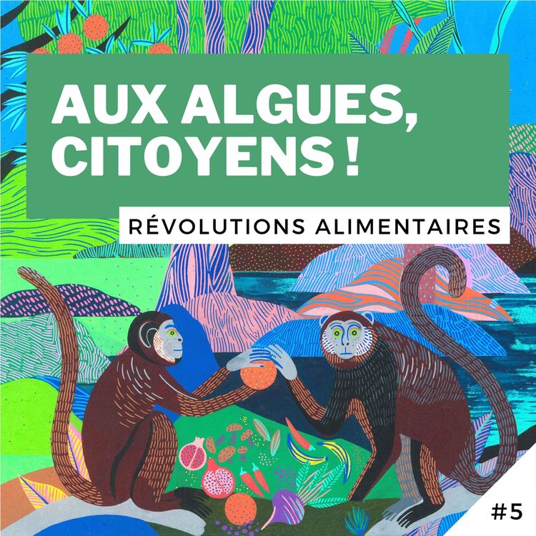 cover art for #5 - Aux algues, citoyens !