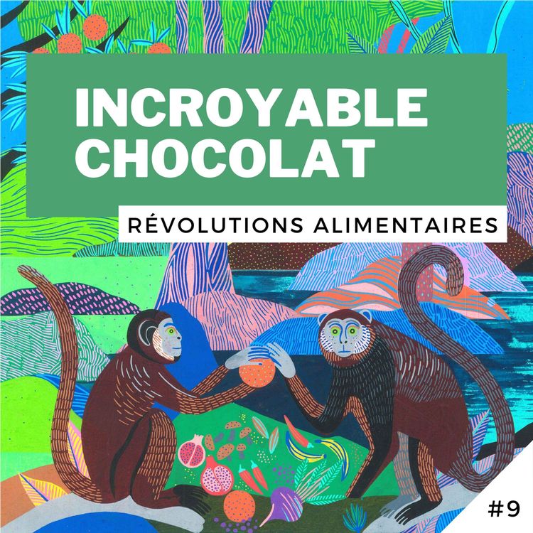 cover art for #9 - Incroyable chocolat