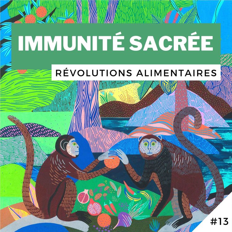 cover art for #13 - Immunité Sacrée