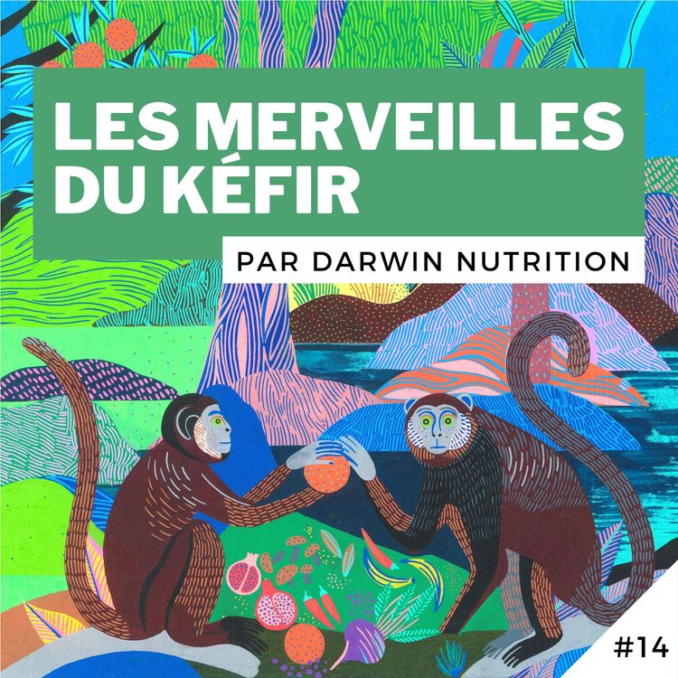 cover art for #14 - Les Merveilles du Kéfir