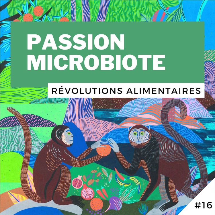 cover art for #16 - Passion Microbiote