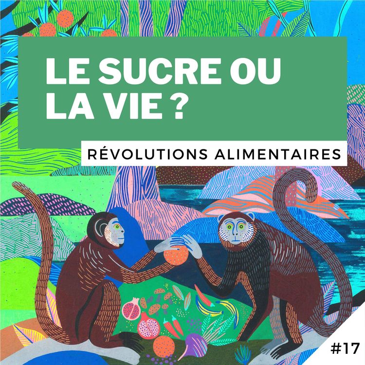 cover art for #17 - Le sucre ou la vie ?