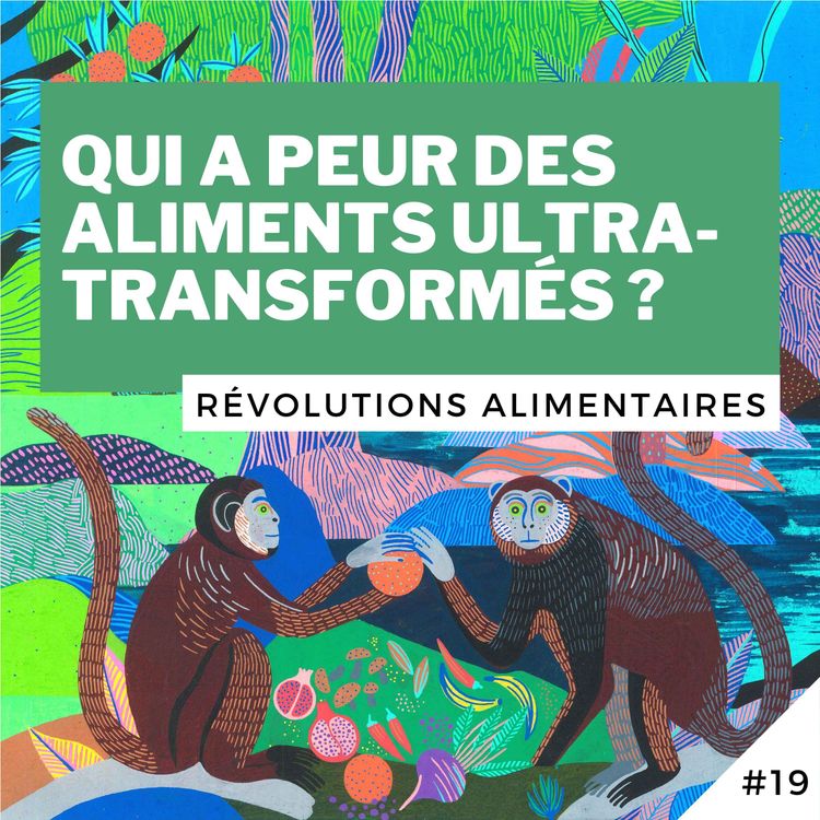 cover art for #19 - Qui a peur des aliments ultra-transformés ?