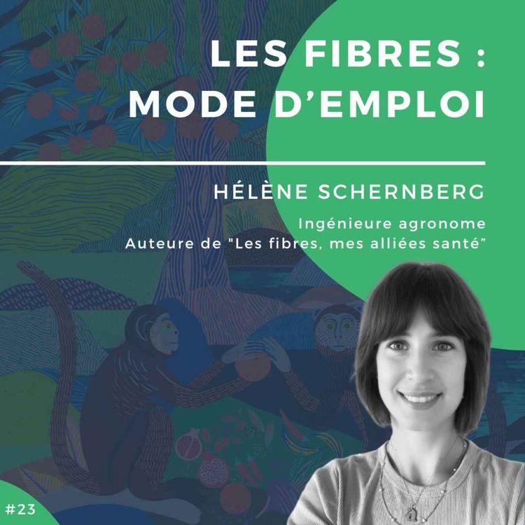 cover art for #24 : Les fibres : mode d'emploi