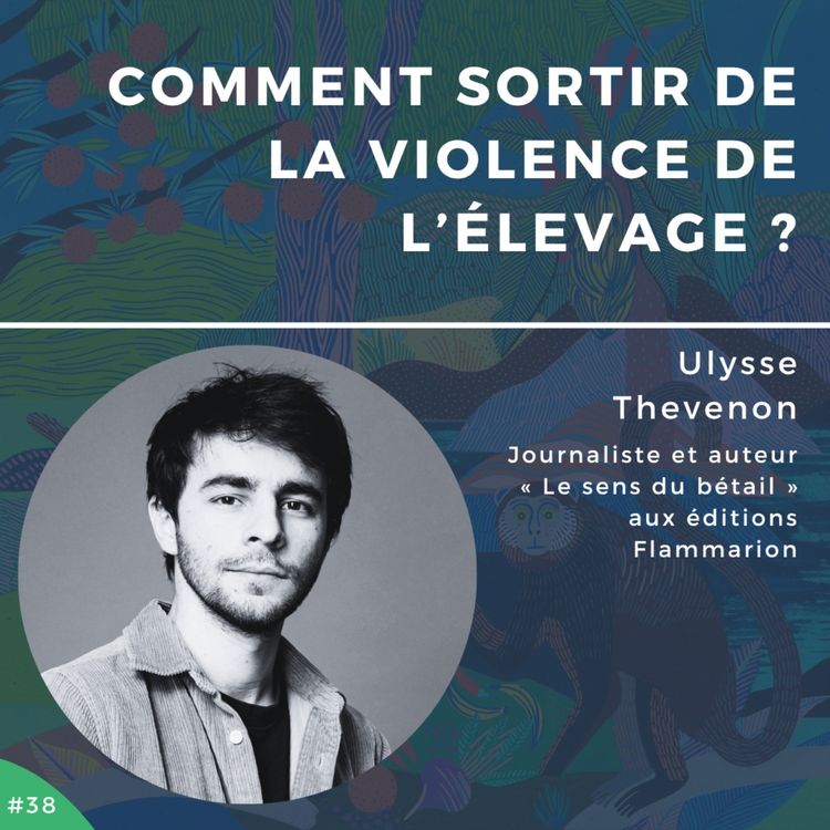 cover art for #38 - Ulysse Thevenon, comment sortir de la violence de l'élevage ?