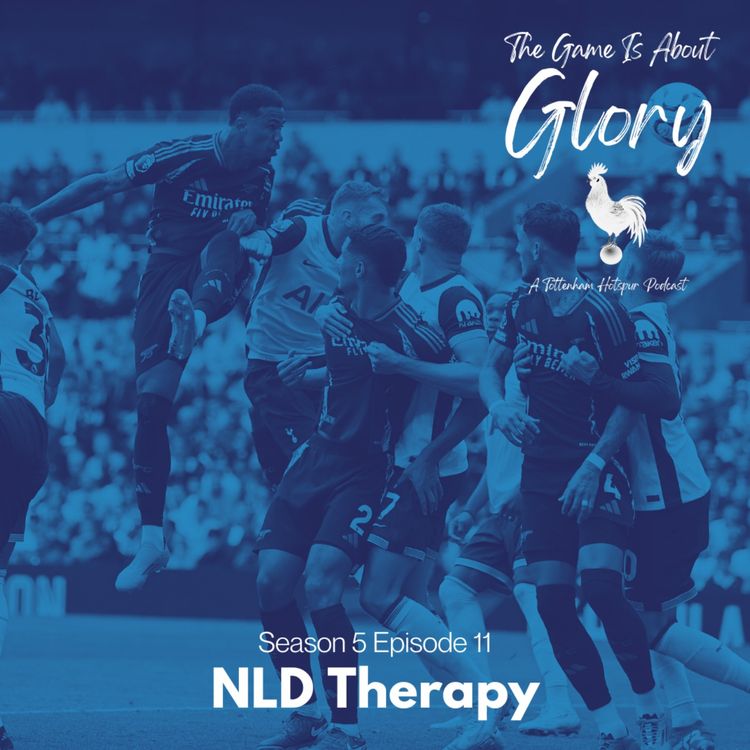 cover art for NLD Therapy