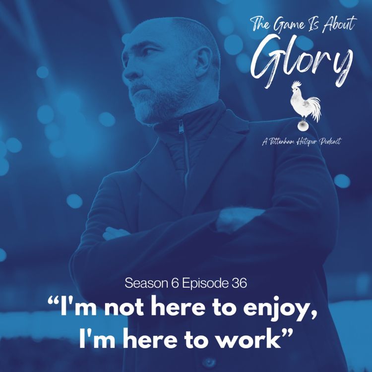 cover art for I'm not here to enjoy, I'm here to work