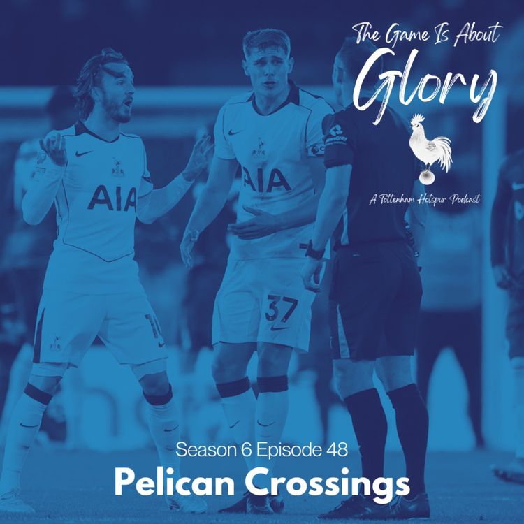 cover art for Pelican Crossings