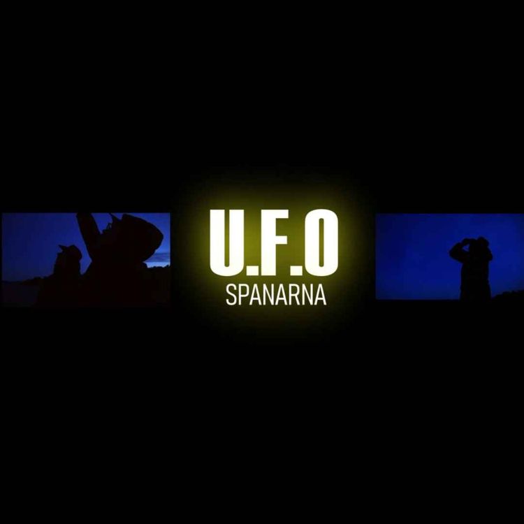 cover art for Bonusavsnitt Diskuterar olika UFO fenomen med Kristofer från Tyckonauterna del 1 