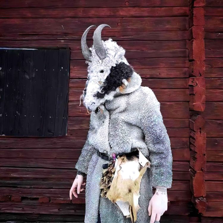 cover art for En hednings Väg