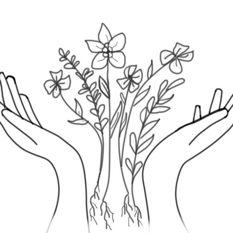 cover art for An Introduction