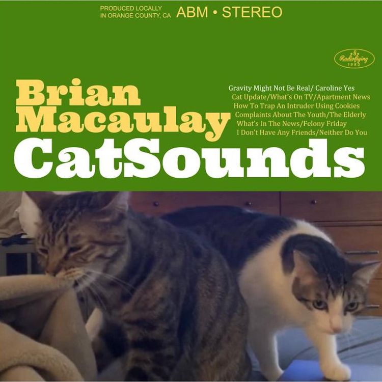 cover art for 18: MadCat Adventures in Journalism and Alcoholism