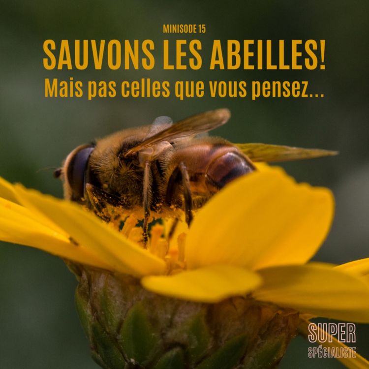 cover art for Sauvons les abeilles! Mais pas celles que vous pensez... - Minisode