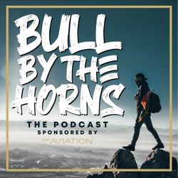 cover art for Bull By The Horns