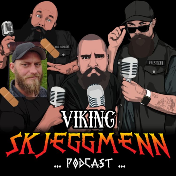 cover art for Viking