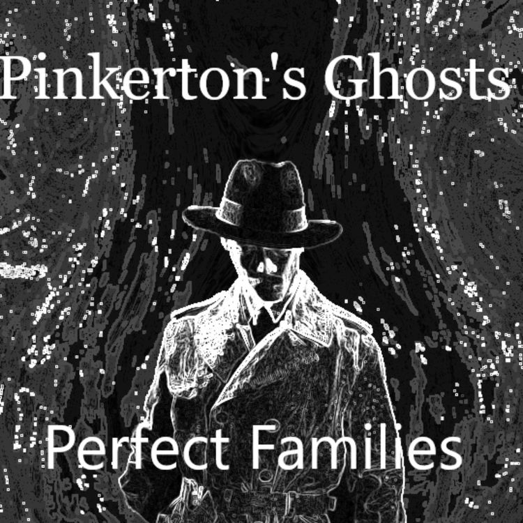 cover art for Perfect Families