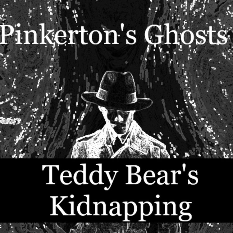 cover art for Teddy Bear's Kidnapping