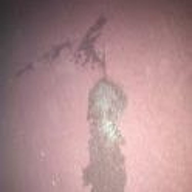 cover art for She Like That D*** Up On Her Skirt