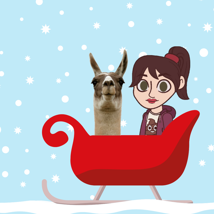 cover art for A Christmas Karen