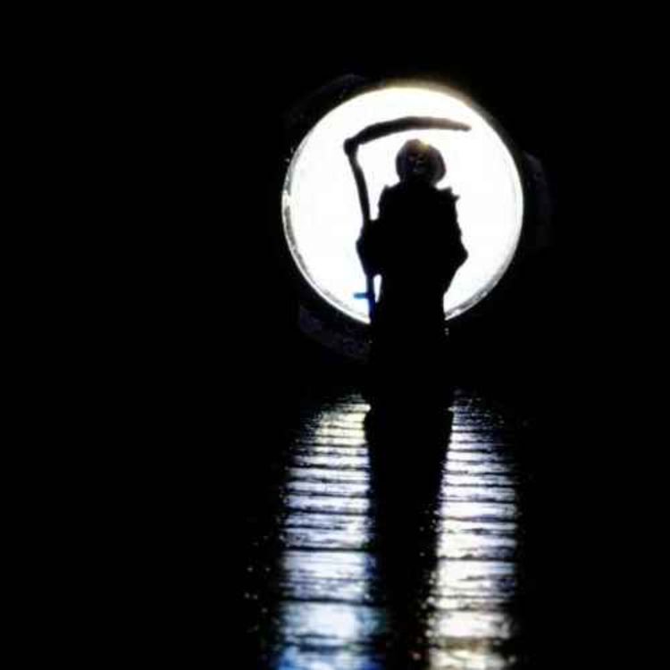 cover art for La Semaine de Veenso du jeudi 25 mai 2023