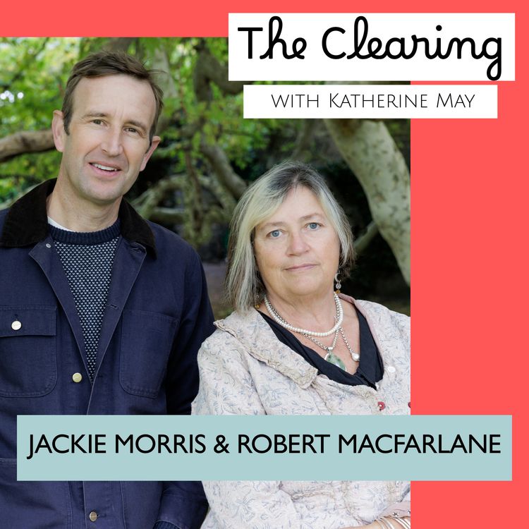 cover art for Jackie Morris & Robert Macfarlane ‘dream of nest’ 