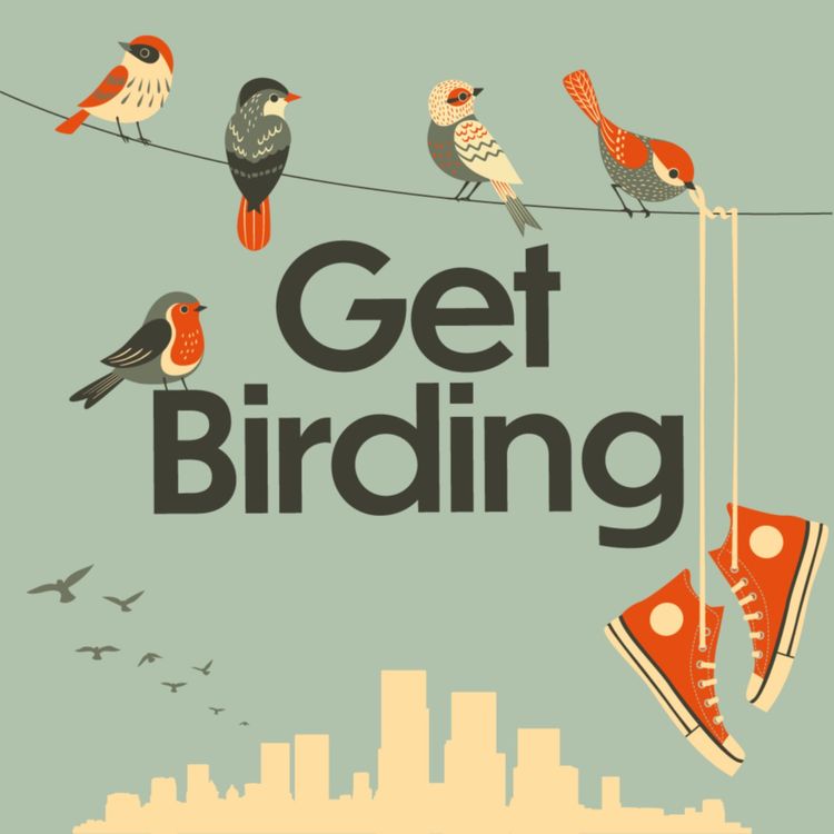 cover art for Get Birding's RSPB Big Garden Birdwatch Special: Chris Packham, Samuel West, Miranda Krestovnikoff , Dr Amir Khan, Sam Lee & Edwyn Collins