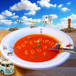 cover art for Serendipity Soup