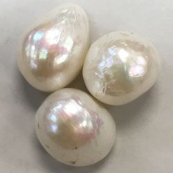 cover art for The Pearl of Great Price