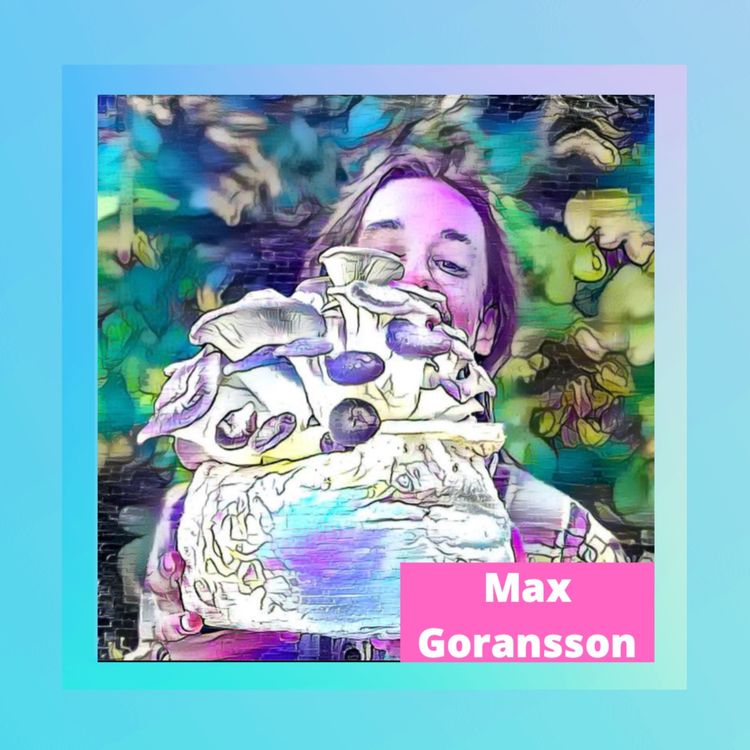 cover art for Max Goransson: Golden Mushroom Co