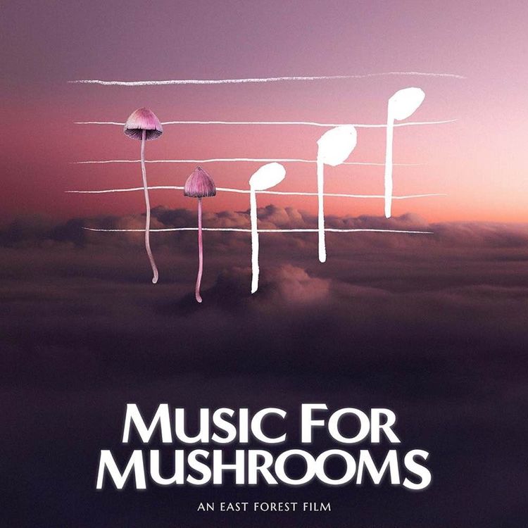 cover art for East Forest: Music For Mushrooms