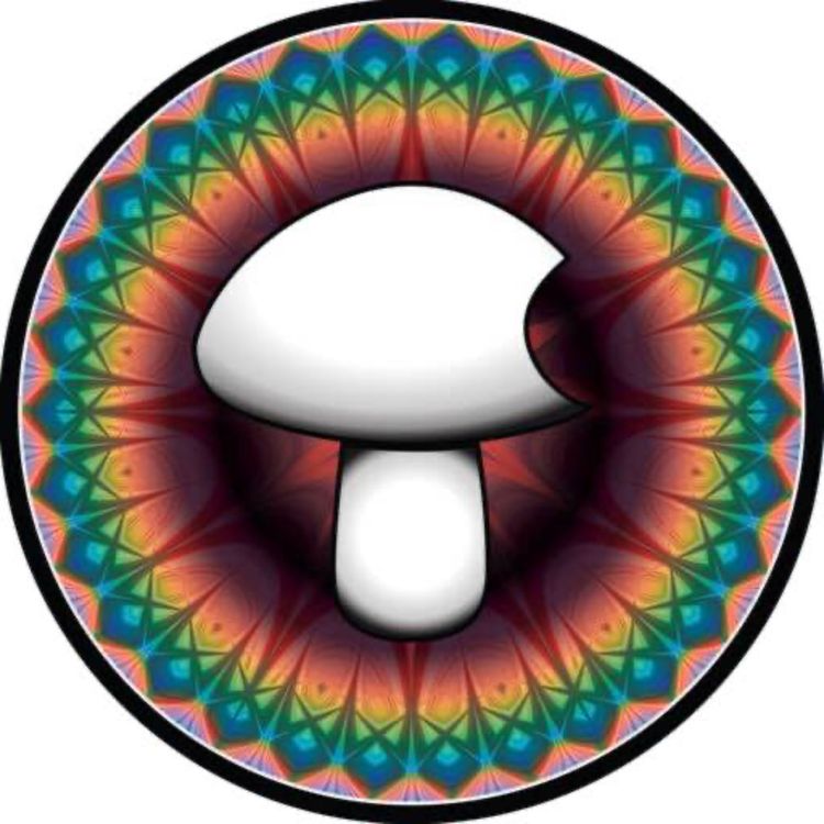 cover art for Basidium Equilibrium: